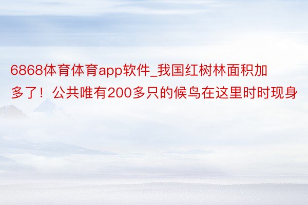 6868体育体育app软件_我国红树林面积加多了！公共唯有200多只的候鸟在这里时时现身