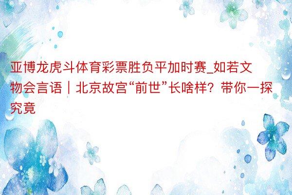 亚博龙虎斗体育彩票胜负平加时赛_如若文物会言语｜北京故宫“前世”长啥样？带你一探究竟