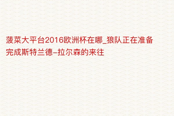 菠菜大平台2016欧洲杯在哪_狼队正在准备完成斯特兰德-拉尔森的来往