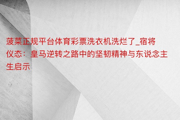 菠菜正规平台体育彩票洗衣机洗烂了_宿将仪态：皇马逆转之路中的坚韧精神与东说念主生启示